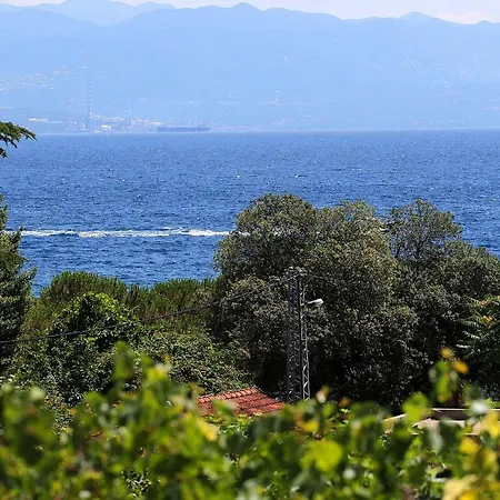 Designed With Swimming Pool Near The Opatija